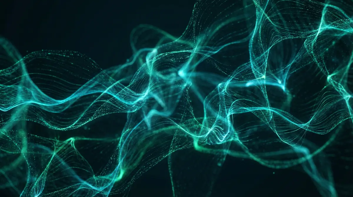 暗网禁区平台界面展示